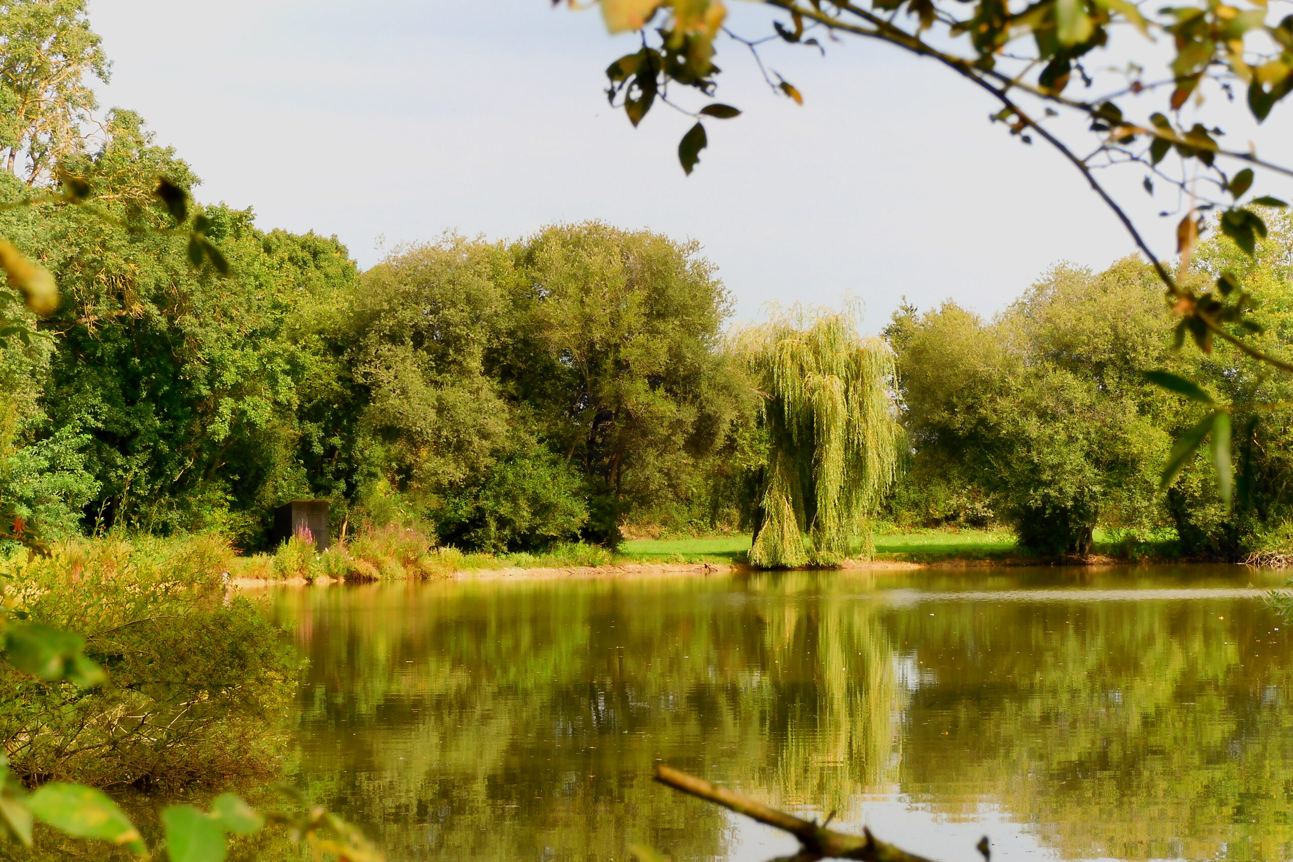 l'étang du Gpite Les Hoisminières